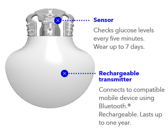 Guardian 4 smart CGM