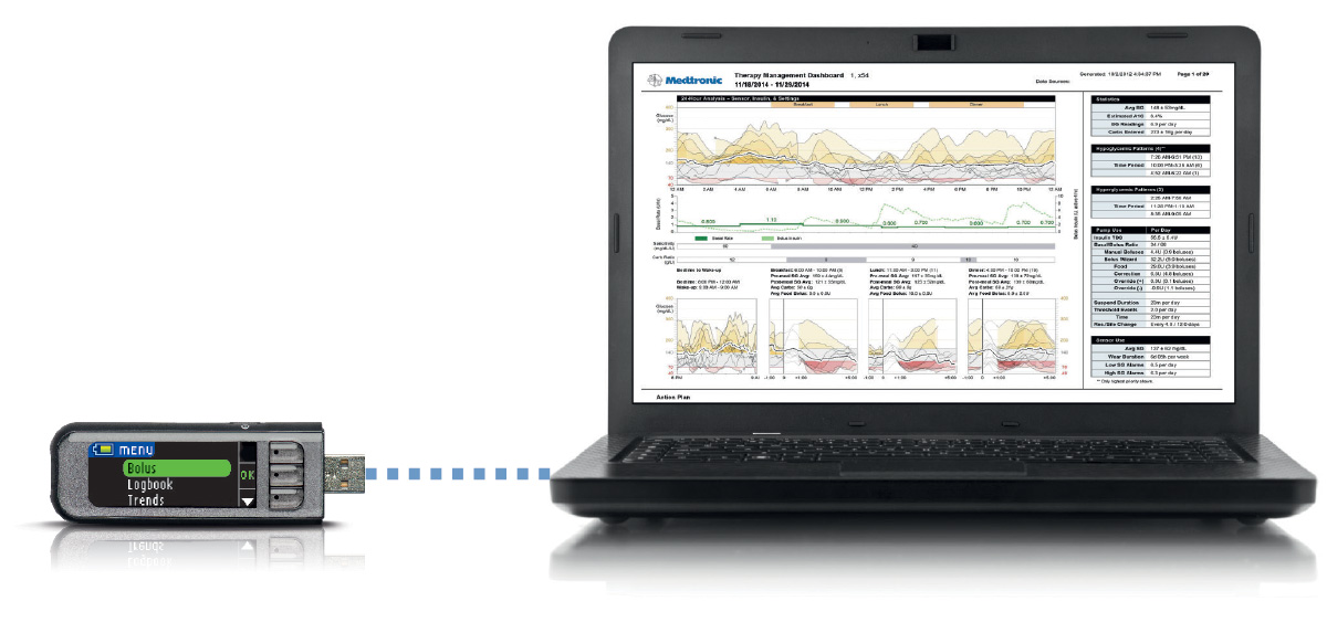 Therapy Management CareLink™ personal software online reports