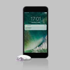 Guardian<sup>™</sup> Connect app alert