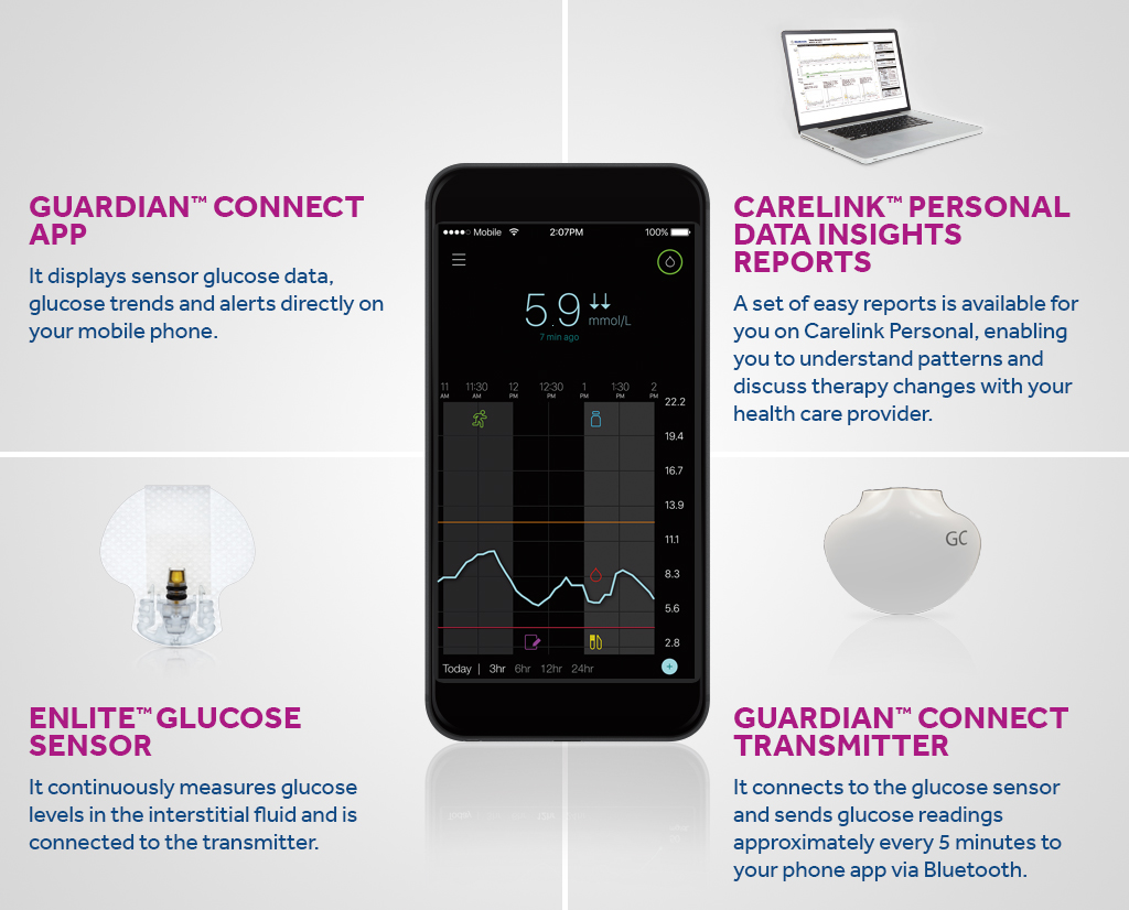 Guardian Connect Components English