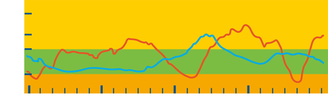 Nikhita’s Graph