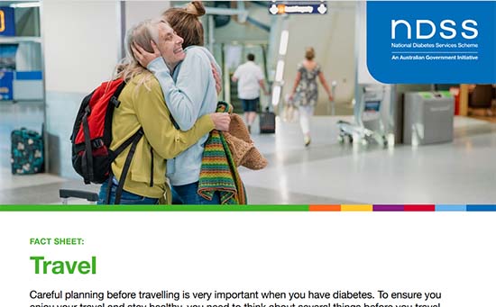 NDSS travel fact sheet